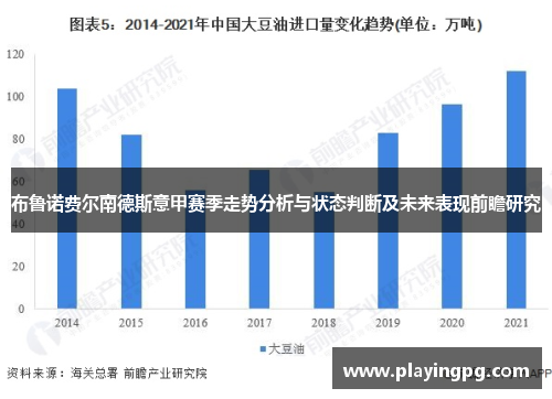 布鲁诺费尔南德斯意甲赛季走势分析与状态判断及未来表现前瞻研究