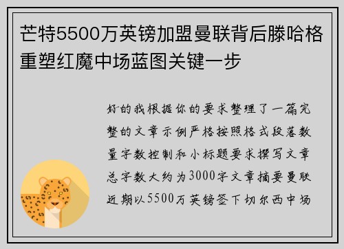 芒特5500万英镑加盟曼联背后滕哈格重塑红魔中场蓝图关键一步 芒特5500万英镑加盟曼联背后滕哈格重塑红魔中场蓝图关键一步